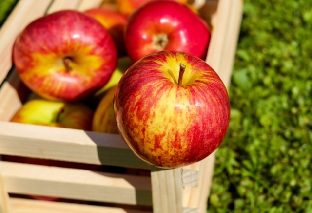 Fall is Approaching and Apple Season is Here!