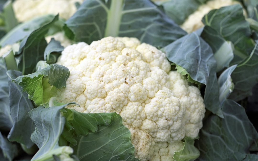 Cauliflower, the Primo Versatile Veggie